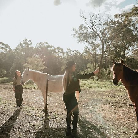 Hunter Valley Retreat Quorrobolong ภายนอก รูปภาพ