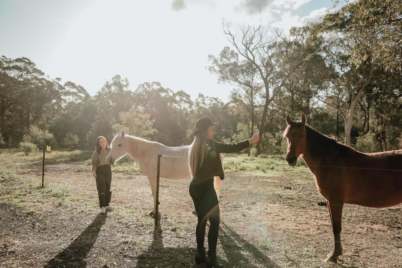 Hunter Valley Retreat Quorrobolong ภายนอก รูปภาพ