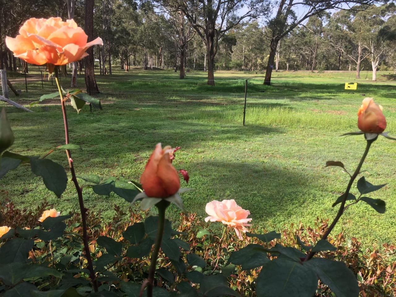 Hunter Valley Retreat Quorrobolong ภายนอก รูปภาพ