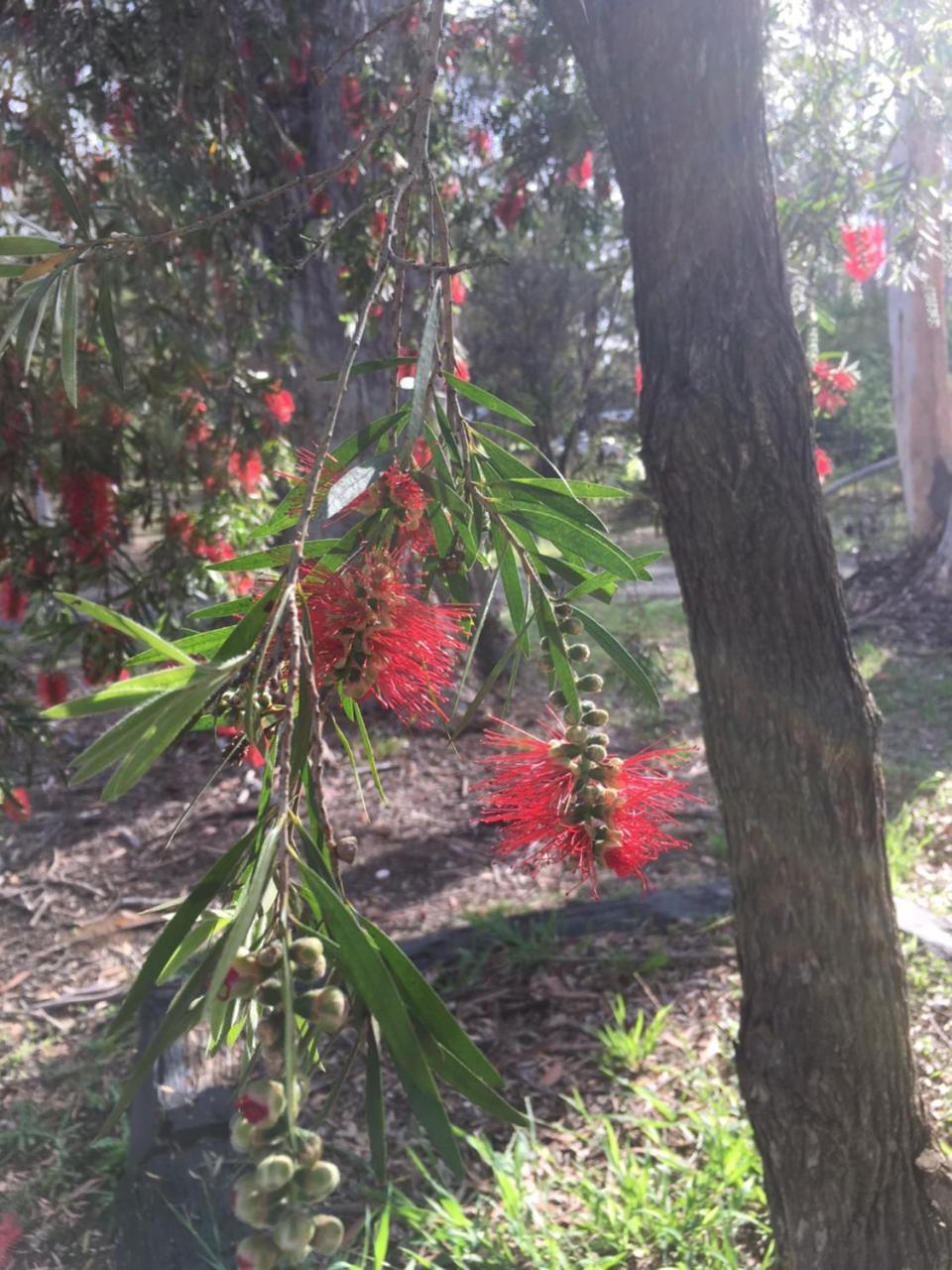 Hunter Valley Retreat Quorrobolong ภายนอก รูปภาพ