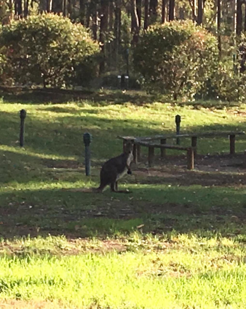 Hunter Valley Retreat Quorrobolong ภายนอก รูปภาพ